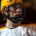 NHL© HOCKEY HELMET LINERS