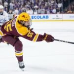 NHL© HOCKEY HELMET LINERS
